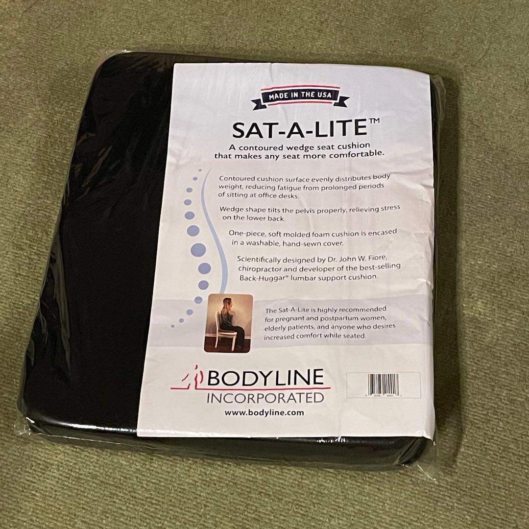 ボディーライン サテライト