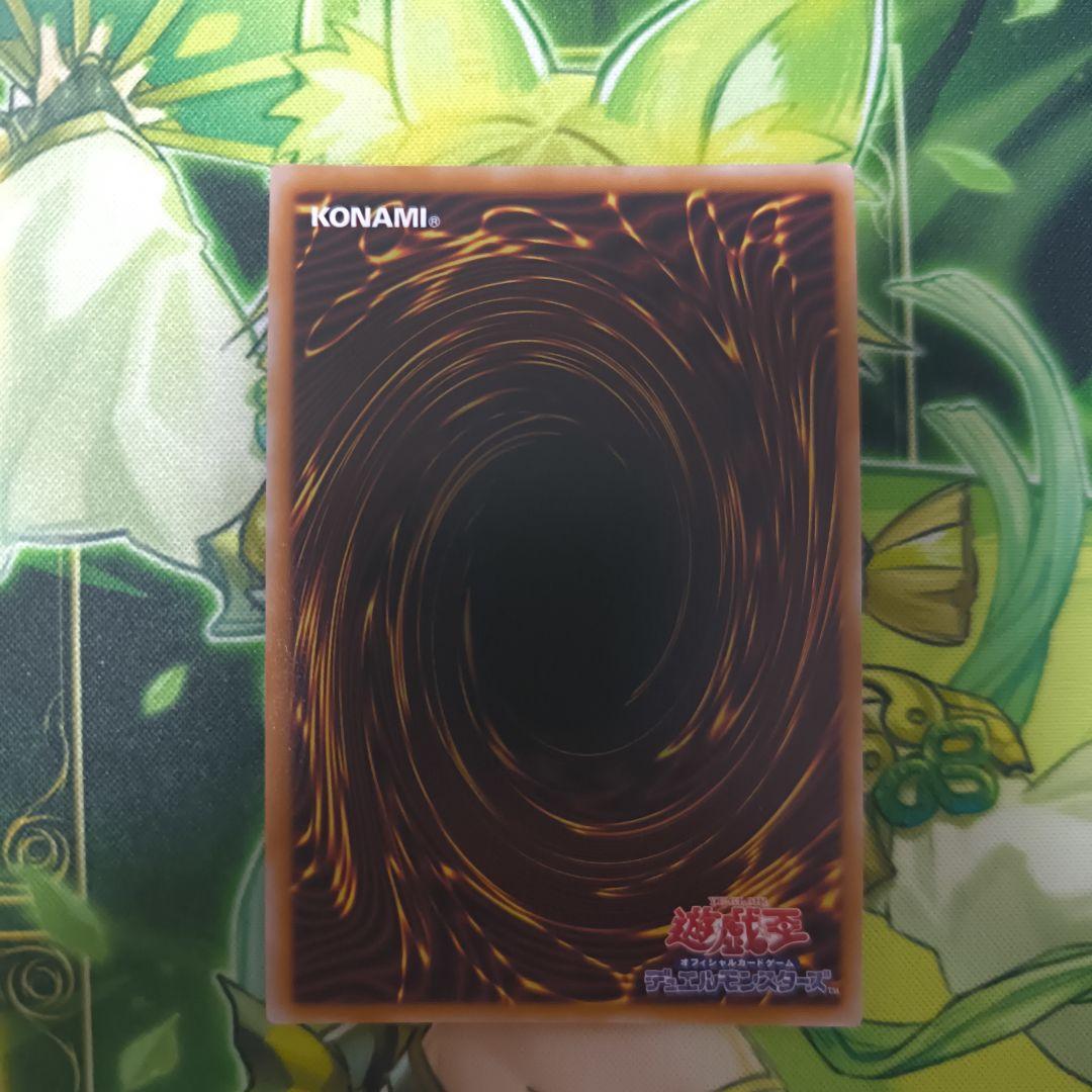 輝聖の花詩（エルフェンノーツ）ルキナ 　プリシク