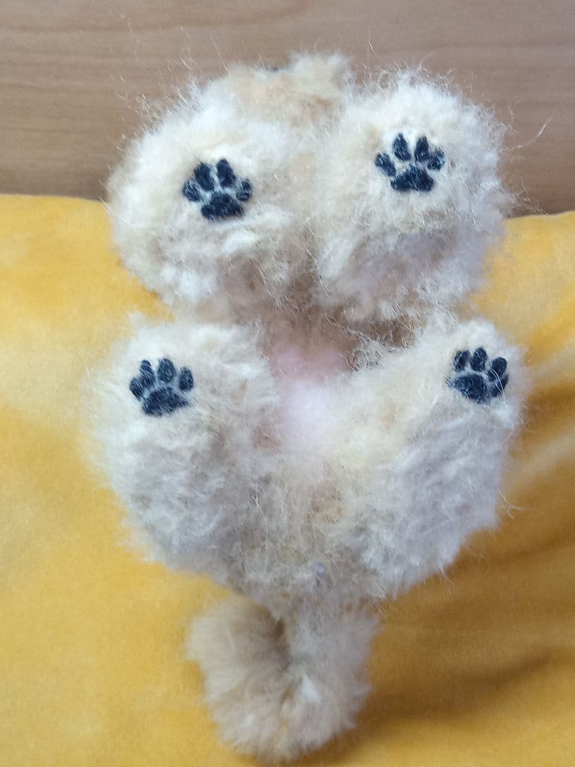 愛犬の羊毛フェルトオーダー・WENDYページ