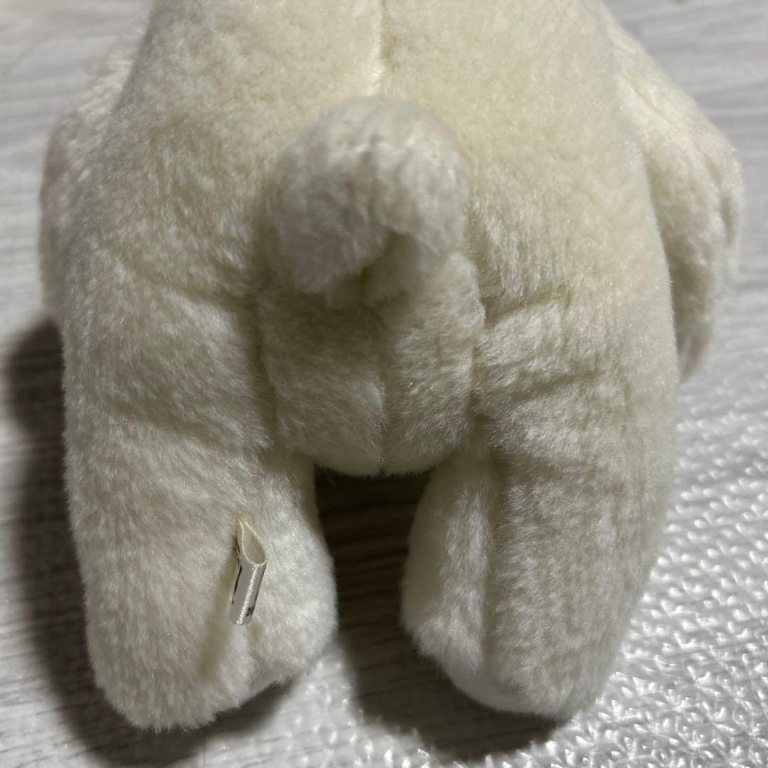 白 マレーちゃん SS