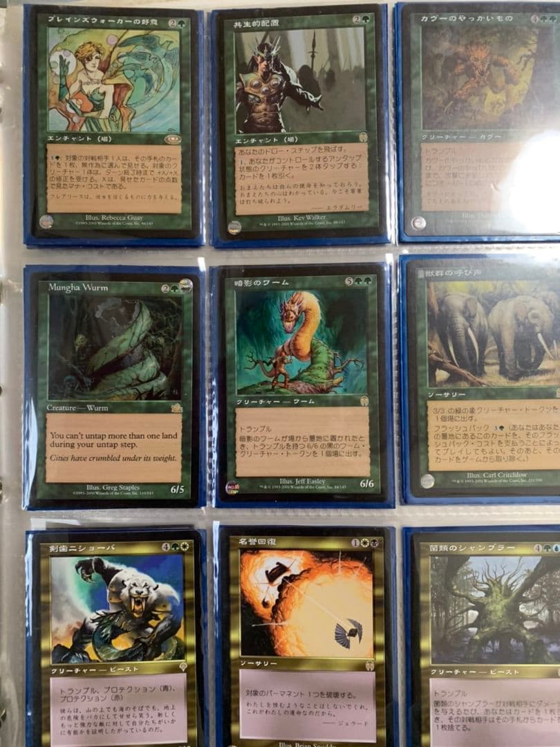 MTG 多数