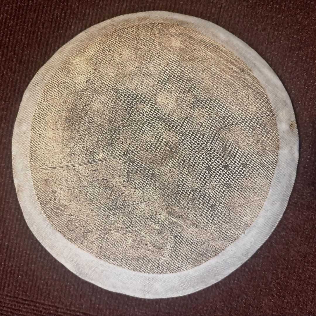 本田あつみ　ワイルドフラワー