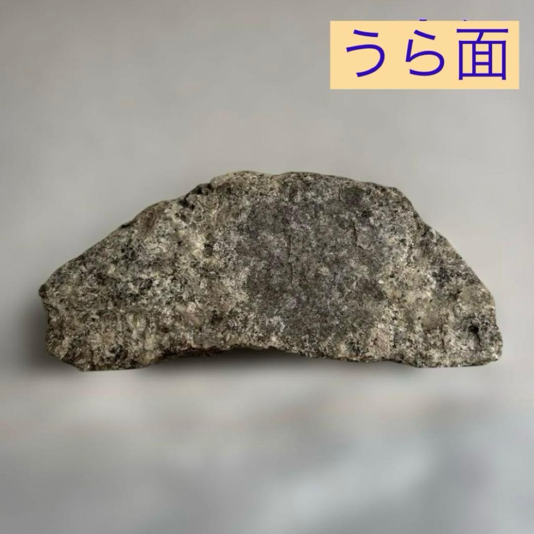 極希少】猿投山の菊花石 約203g 天然記念物 水石 鑑賞石 菊石 鉱物