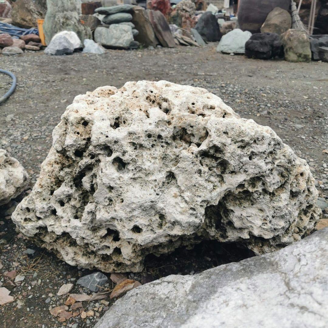 サンゴ石　104キロ　庭石　石　鑑賞石 石材　庭　ガーデニング　置物