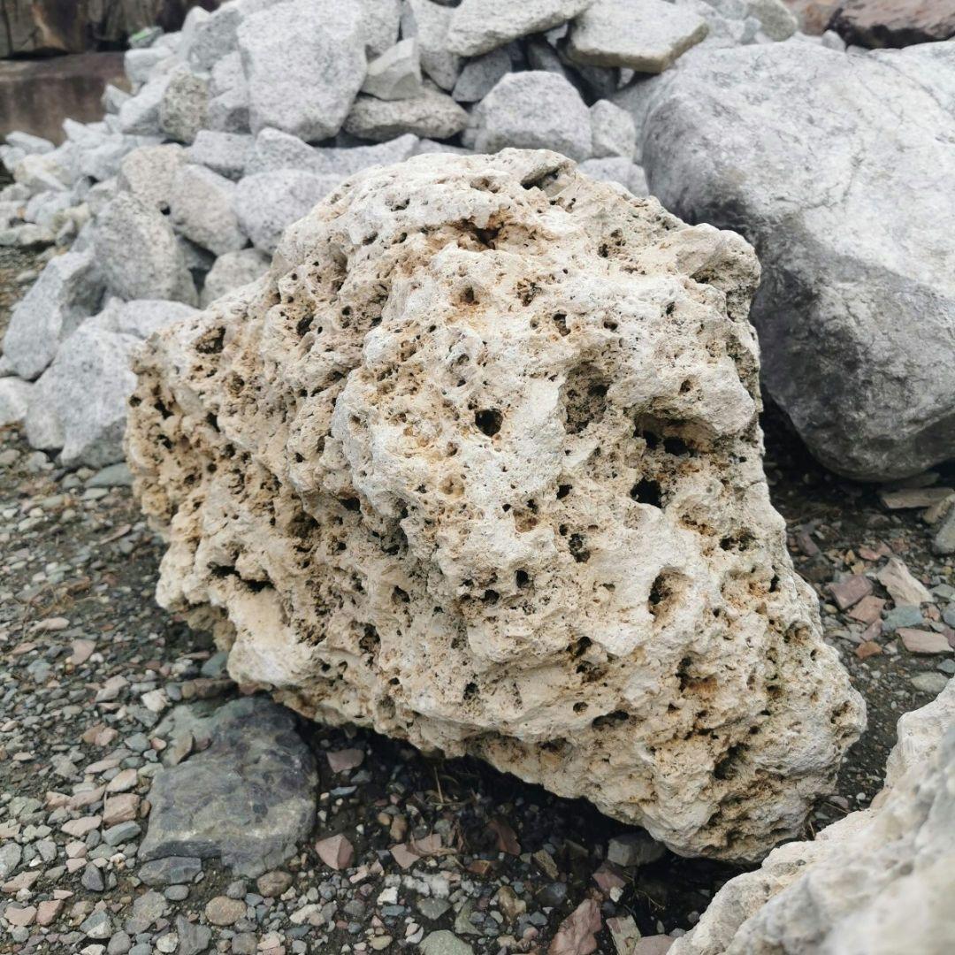 サンゴ石　104キロ　庭石　石　鑑賞石 石材　庭　ガーデニング　置物