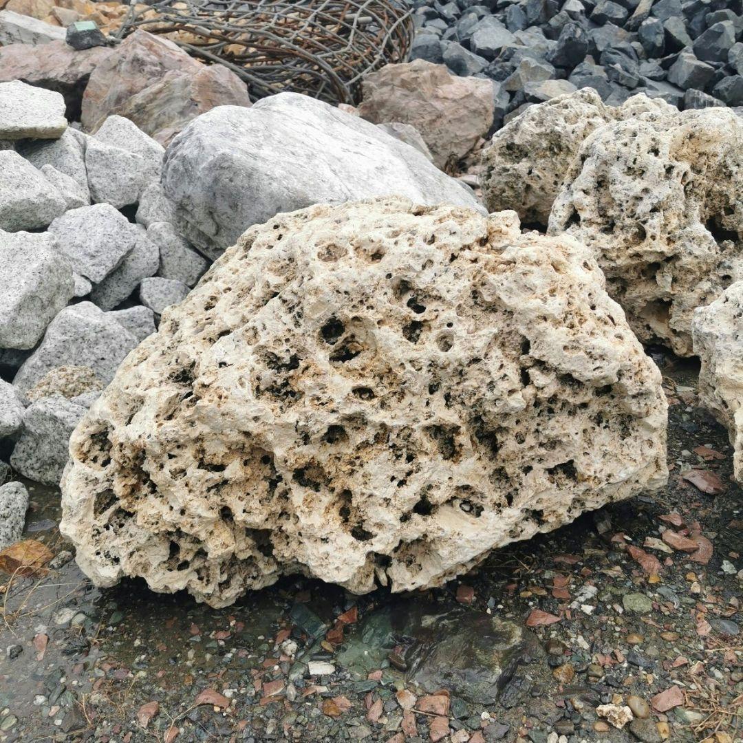 サンゴ石　104キロ　庭石　石　鑑賞石 石材　庭　ガーデニング　置物