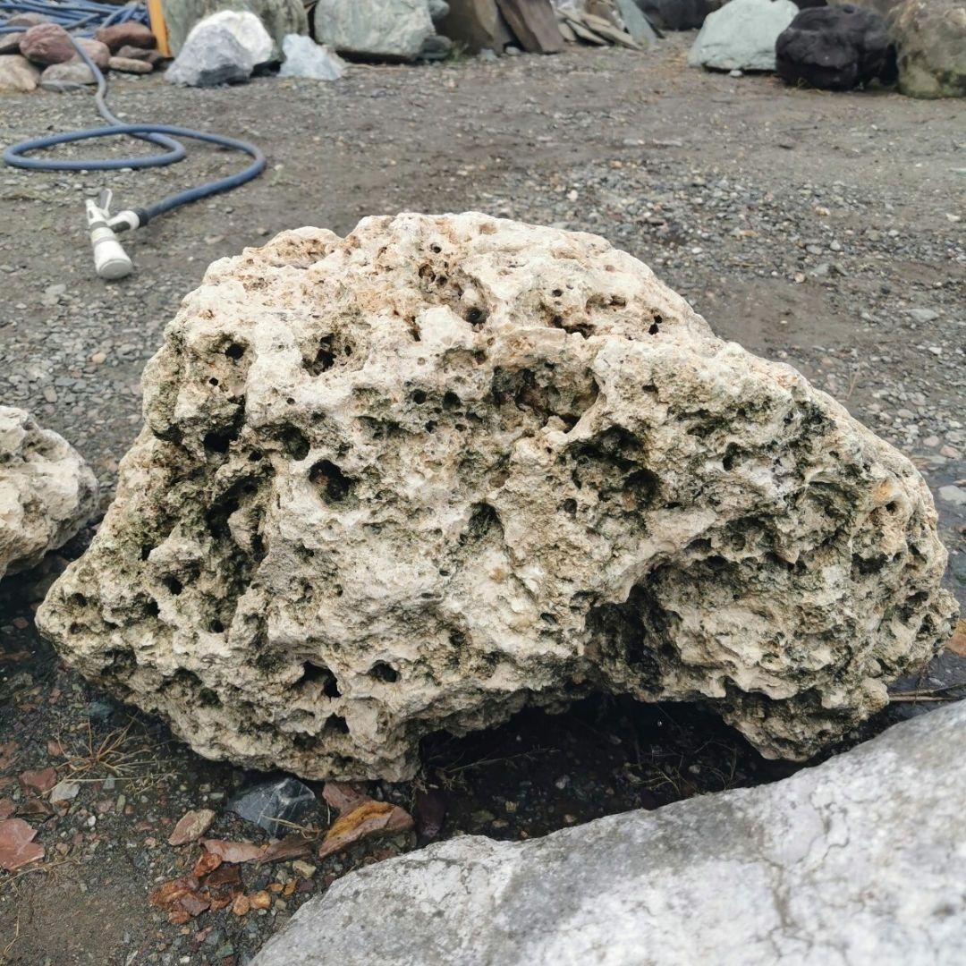 サンゴ石　104キロ　庭石　石　鑑賞石 石材　庭　ガーデニング　置物