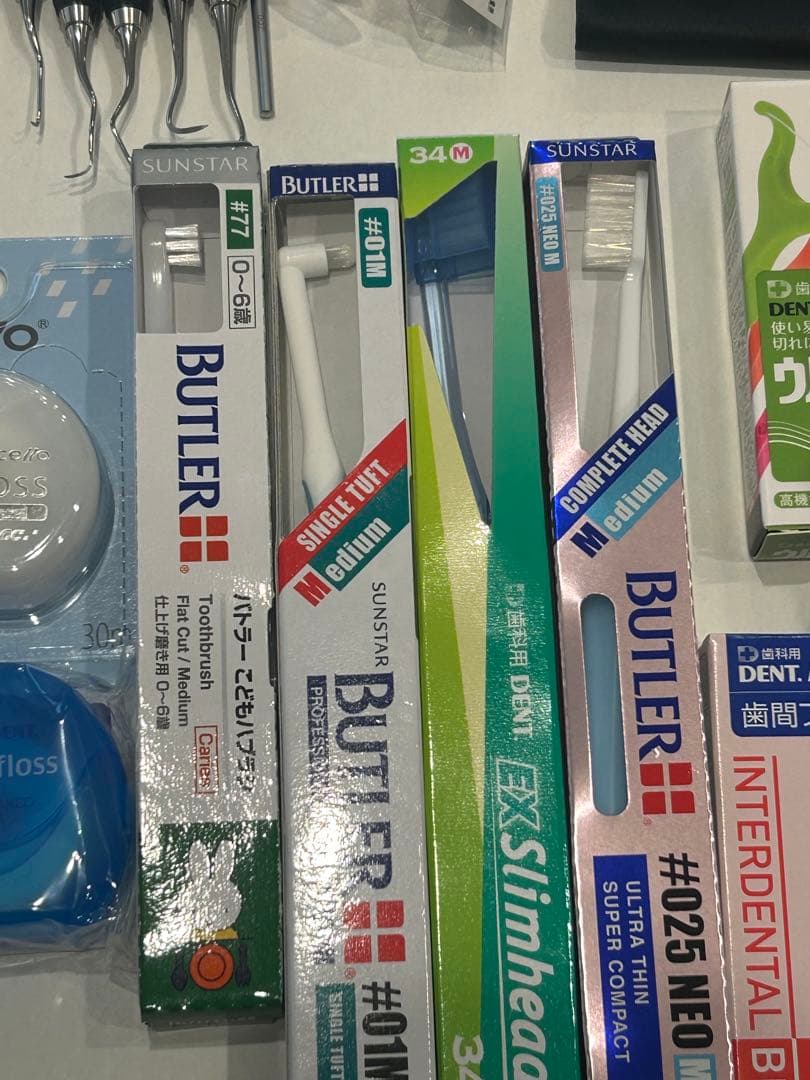 歯科衛生士 ニッシン 歯科衛生士セット 実習用模型　顎模型付き