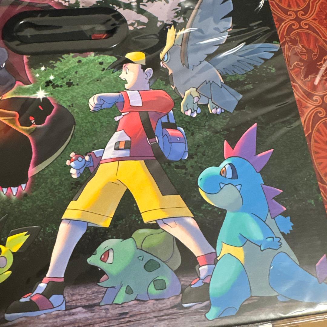 新品未開封】光るポケモンとの遭遇 ファイルボックス かがやく