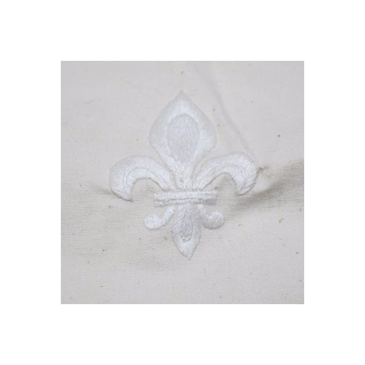 ヴェルサイユ宮殿で買った　クッションカバー　フルールドリス刺繍