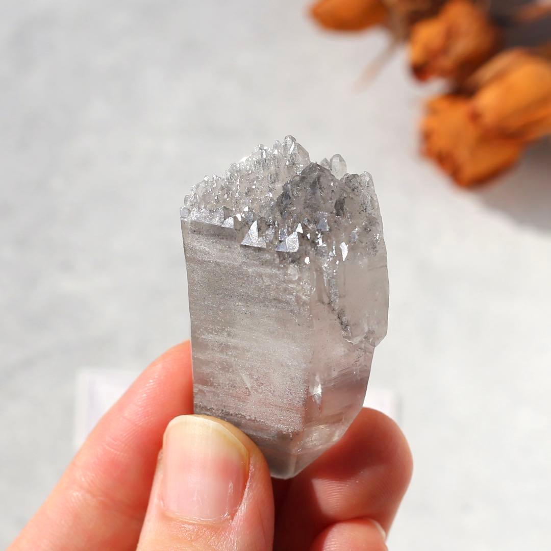 希少！ブラックレムリアンシード 天然石 水晶 鉱物 クォーツ セルフヒールド