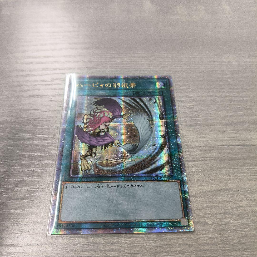 ハーピィの羽根帚　絵違い　25thシク アジア版#01