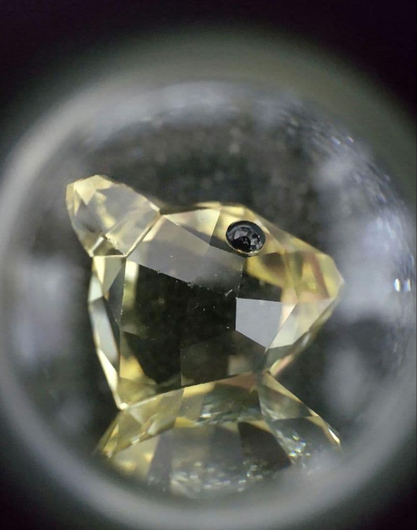 Swarovski　リス　置き物　ペア　フィギュリン　クリスタル