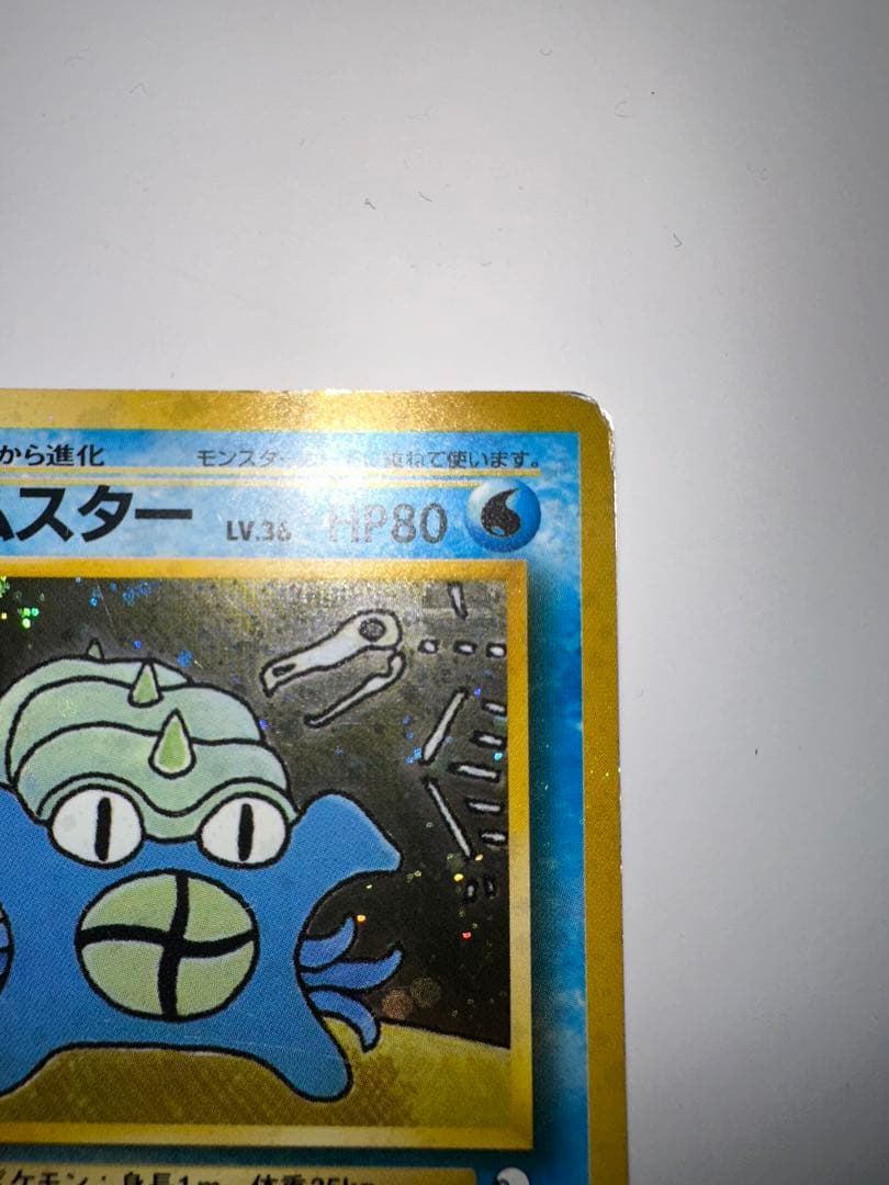 オムスター_「通信進化キャンペーン」 スペシャルカード PROMO 第1世代 …