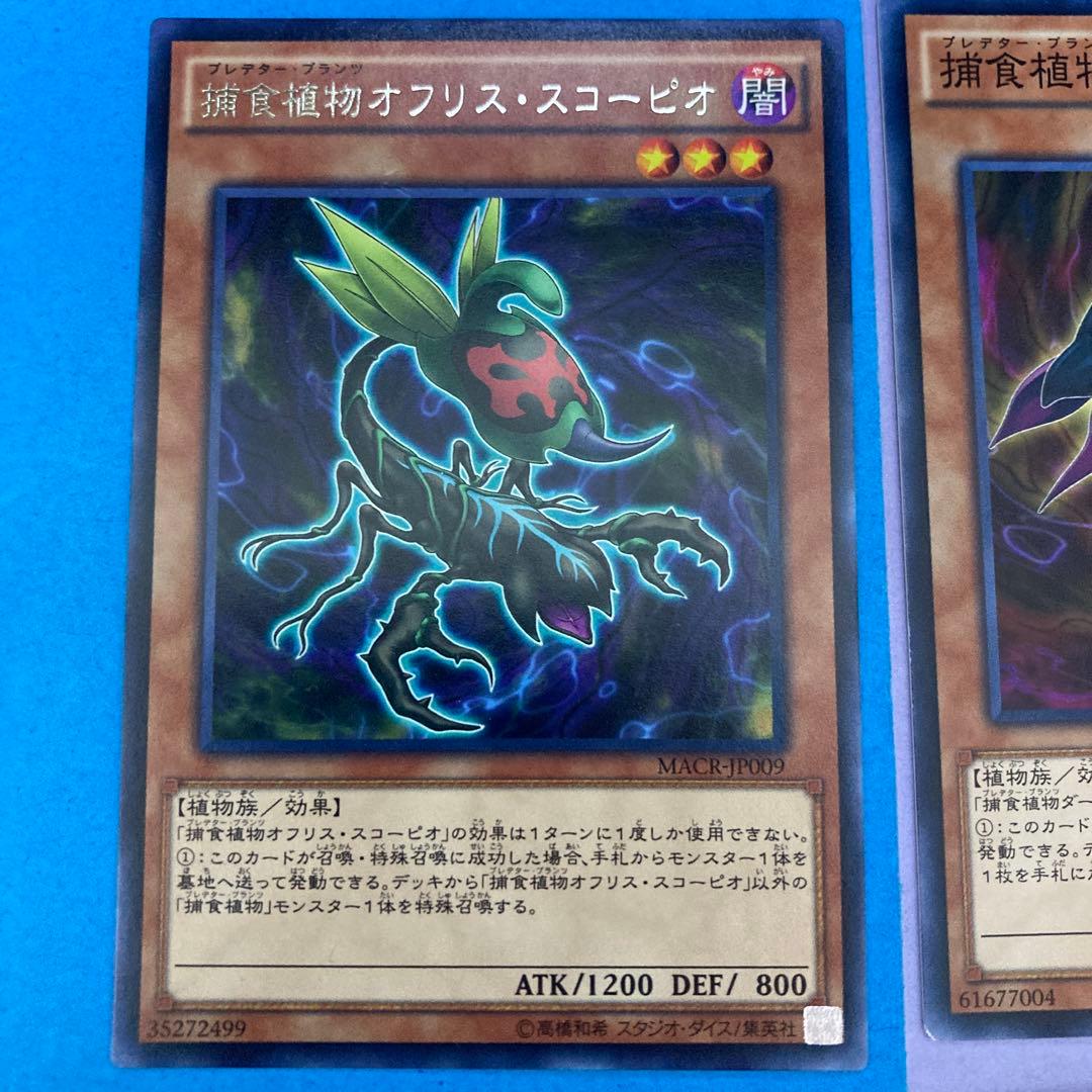 遊戯王 捕食植物オフリス・スコーピオ/捕食植物ダーリング・コブラ 3枚