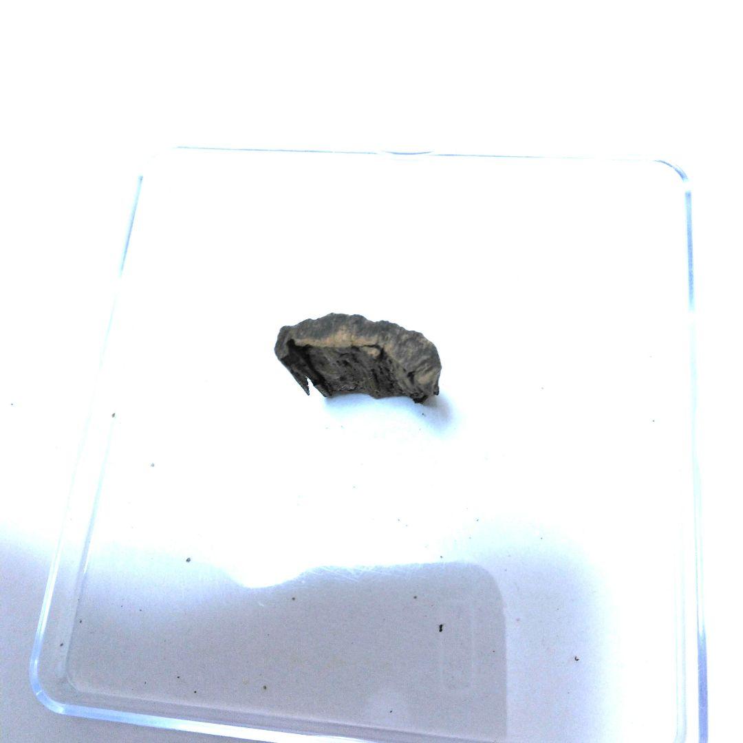 最高級シャム沈香3.35g