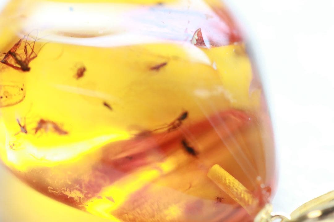 天然琥珀　虫入り琥珀　ルース　K18金　ペンダントトップ　鑑別書付