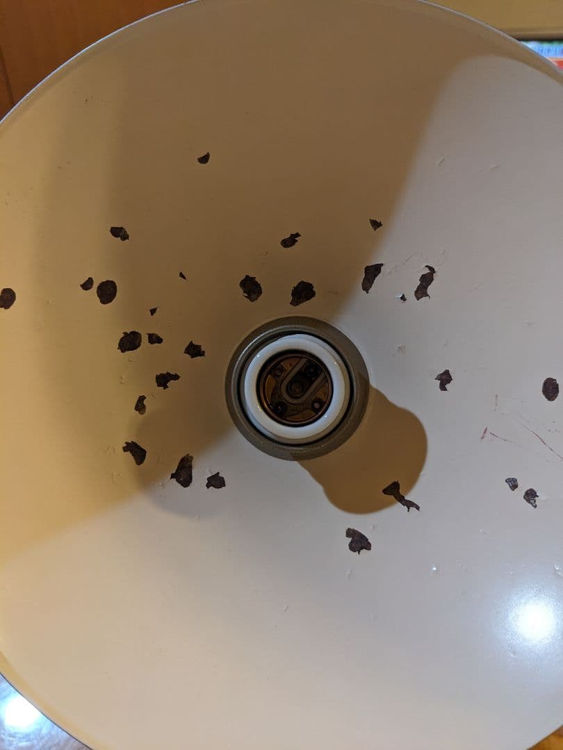 ヤマギワ　デンマークhorn社　ペンダントライト