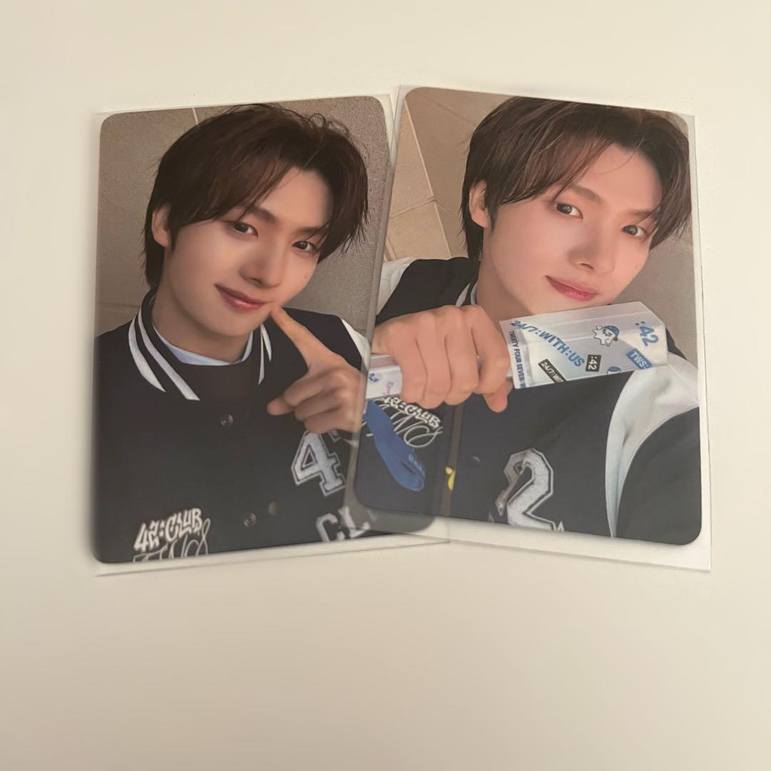 ♤有田焼 轆轤目模様 直径50㎝ 植木鉢 植木鉢カバー