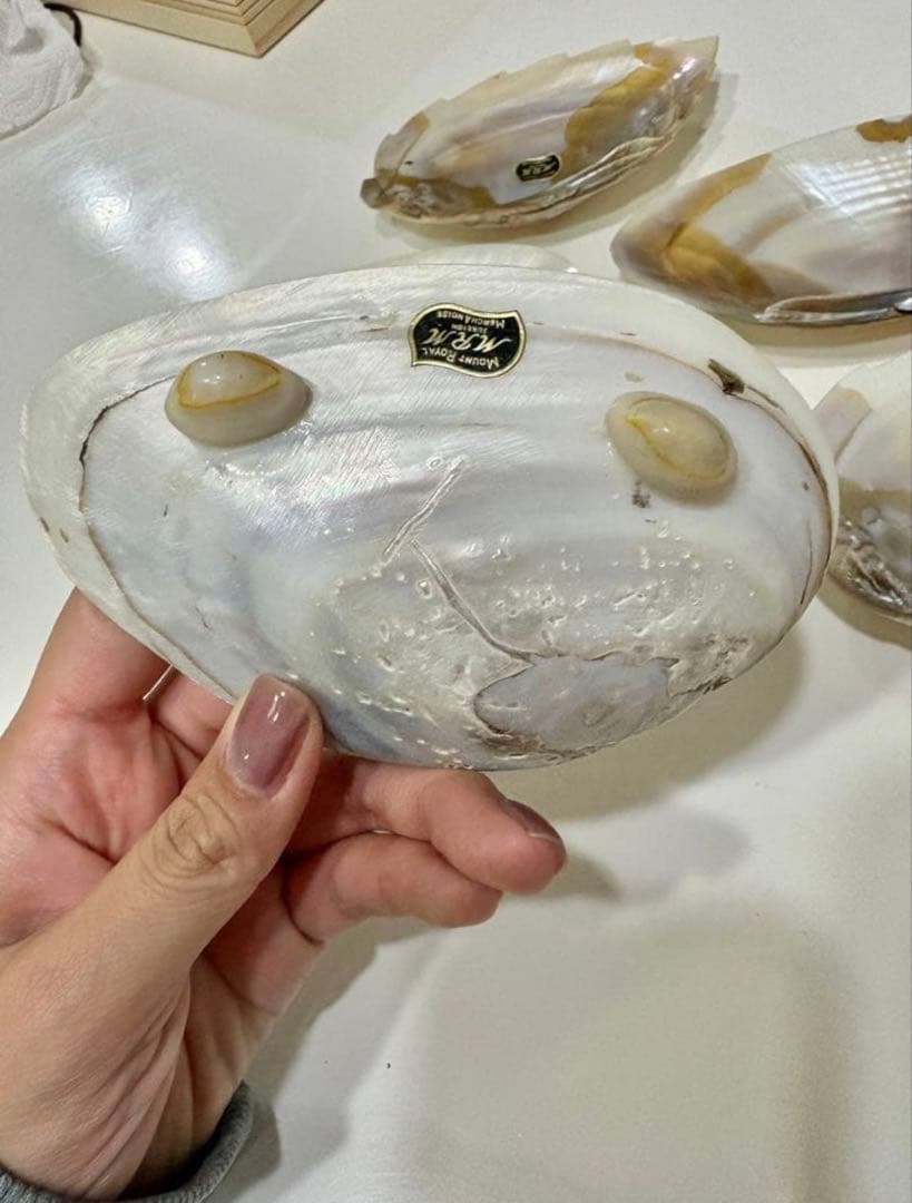 【池蝶貝/養殖/浄化皿/お買い得】シェル 皿 ケース アクセサリー入れ 小物入れ