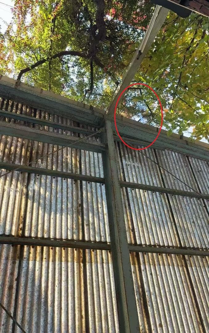 【中古】ダンスミラー 割れない鏡 幅100x160cm 姿見 銀色 7番