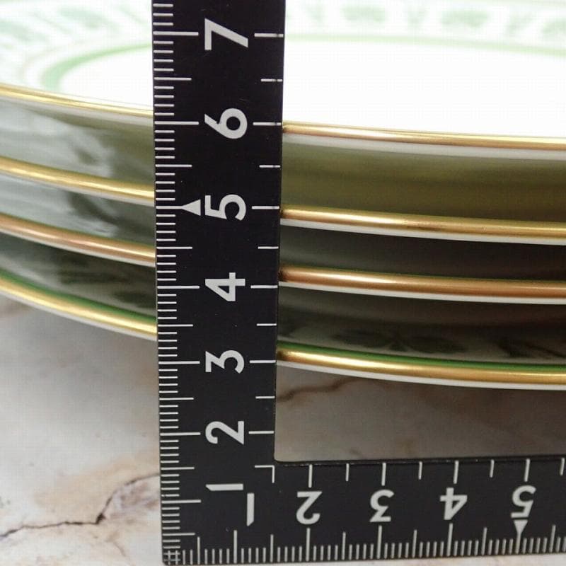 RU-6208　リチャードジノリ　パルメッテ　エメラルド　大皿　プレー度　4客