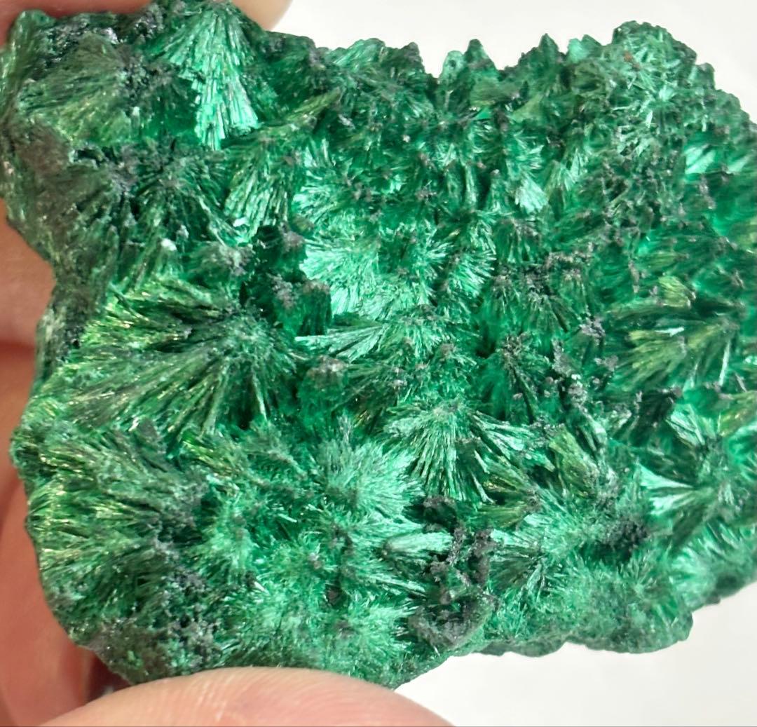 《放射状フラワー結晶が広がる》 マラカイト原石 天然・未研磨 鉱物標本