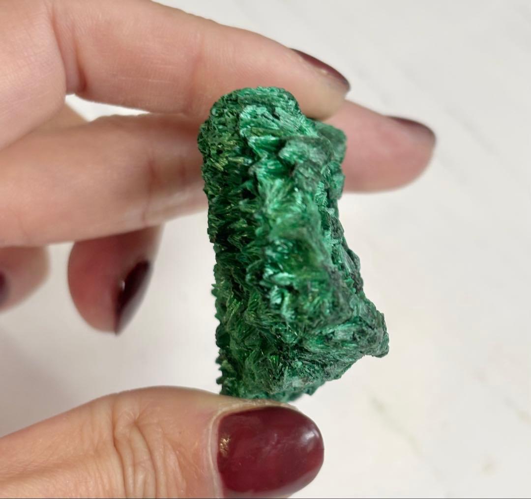 《放射状フラワー結晶が広がる》 マラカイト原石 天然・未研磨 鉱物標本