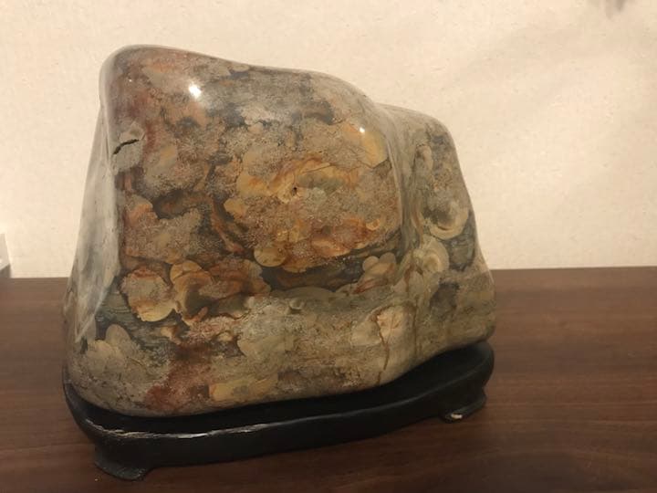 鑑賞石　姿石　花紋石 錦石 水石 菊花石 原石 パワーストーン 天然石 12kg