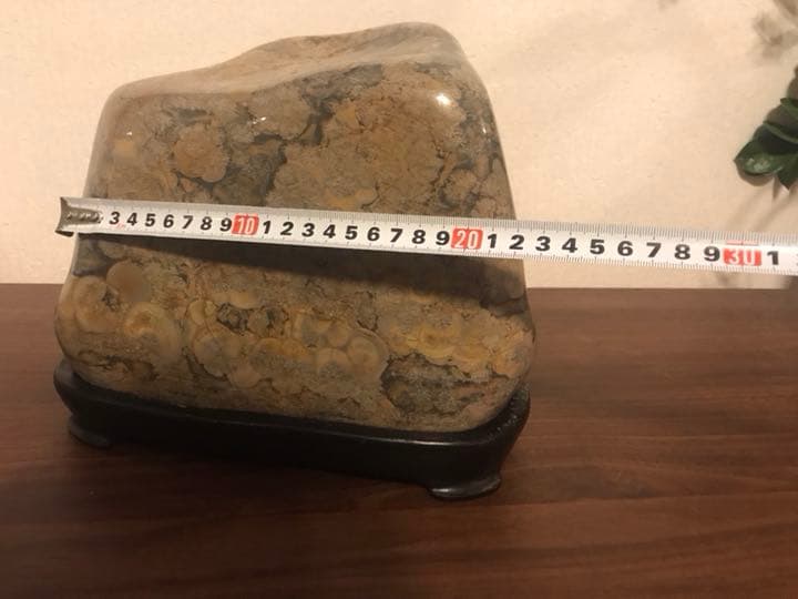 鑑賞石　姿石　花紋石 錦石 水石 菊花石 原石 パワーストーン 天然石 12kg