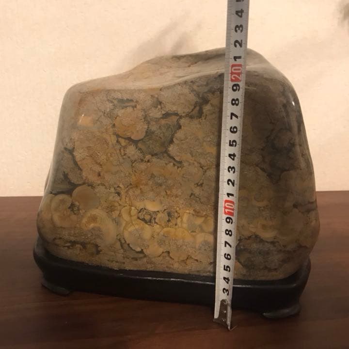 鑑賞石　姿石　花紋石 錦石 水石 菊花石 原石 パワーストーン 天然石 12kg