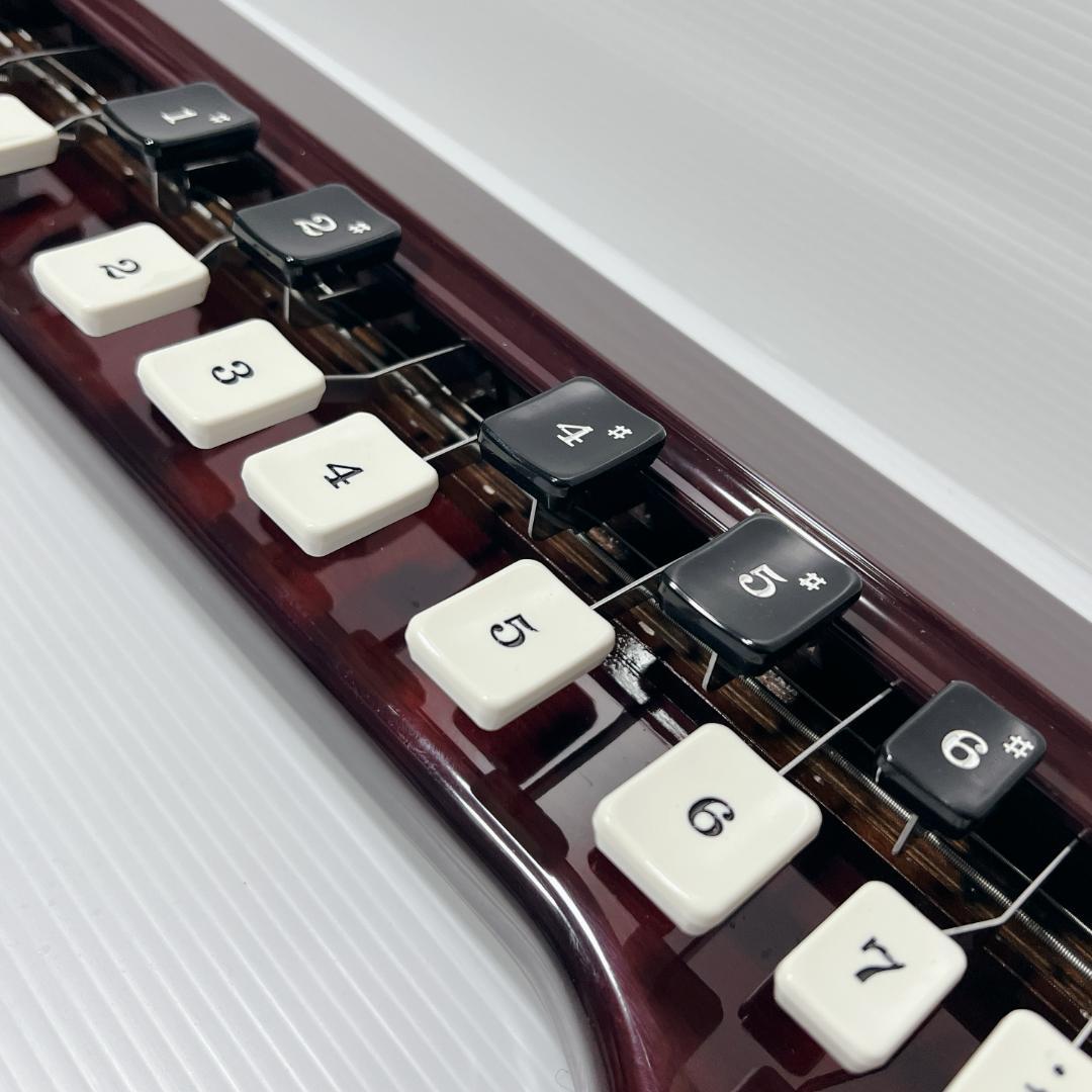 【良品✨】SUZUKI 電気大正琴 蘭BASS バス ベース バス 低音