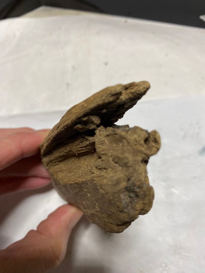 ベトナム産香木　良香シャム沈香29.3g 香道聞香用六国五味伽羅