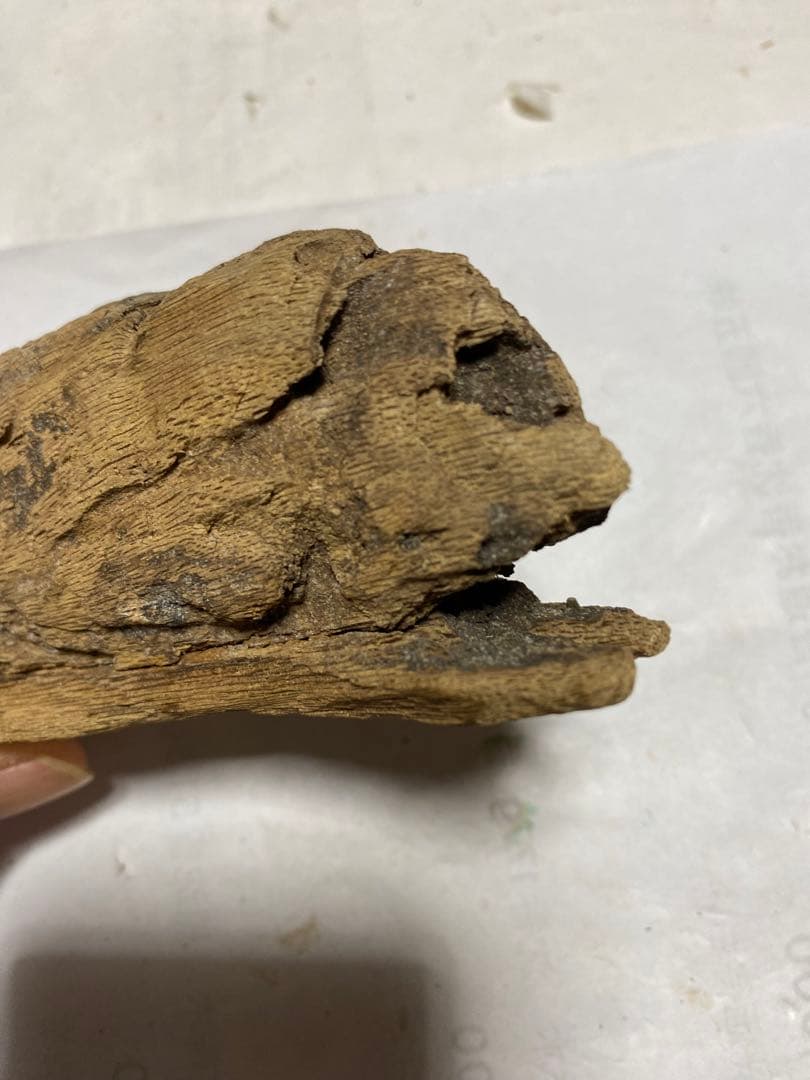 ベトナム産香木　良香シャム沈香29.3g 香道聞香用六国五味伽羅