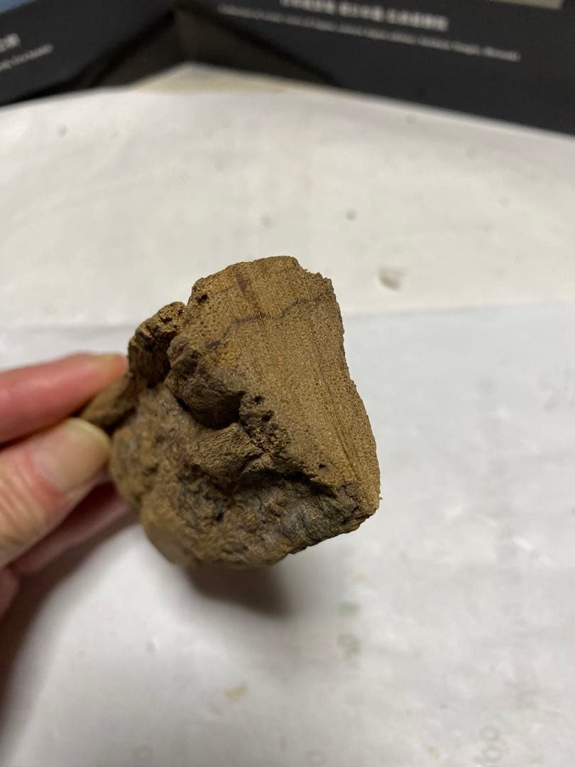 ベトナム産香木　良香シャム沈香29.3g 香道聞香用六国五味伽羅