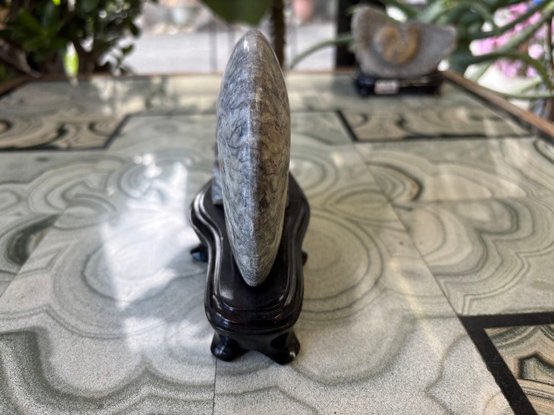 台付アンモナイト　化石　鉱石　希少　インテリア　5