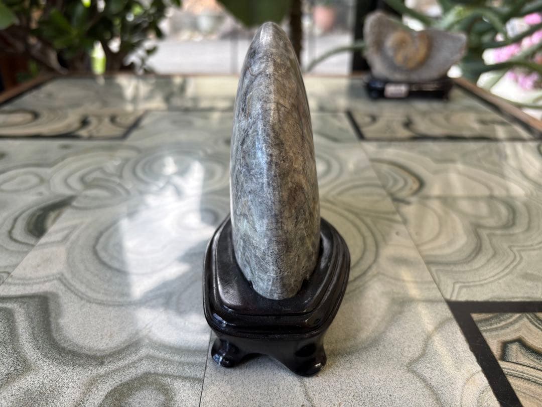 台付アンモナイト　化石　鉱石　希少　インテリア　5