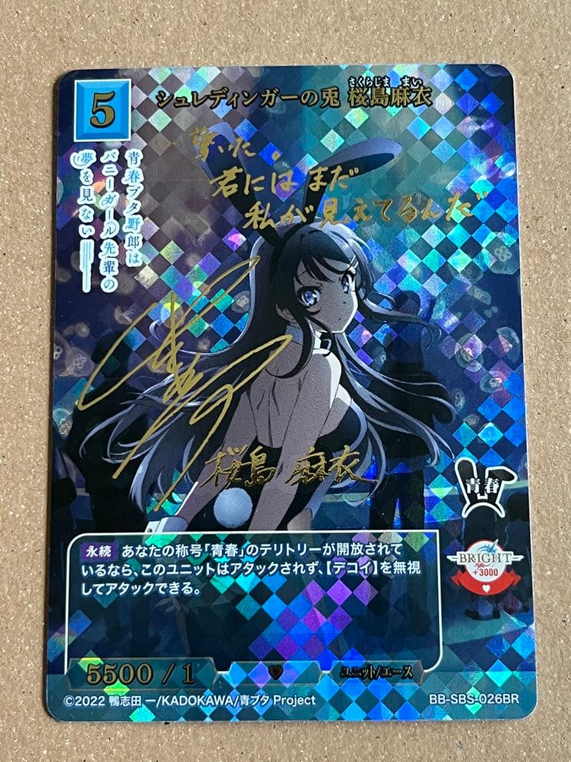 シュレディンガーの兎桜島麻衣VT テリトリービルディバイド青ブタ