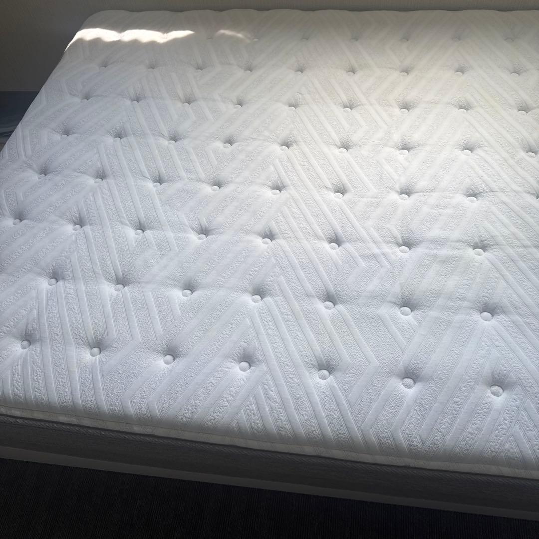 ニトリ ダブルマットレス（Nスリープ プレミア厶P2-02CRVH)