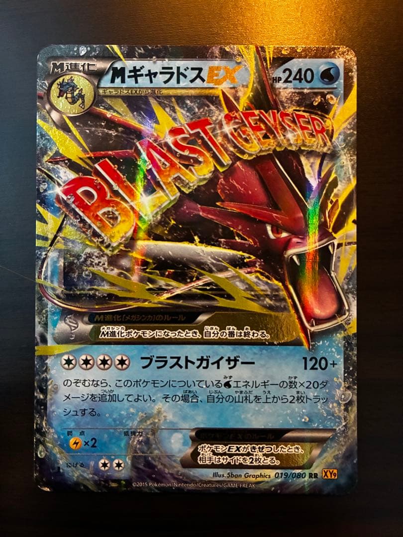 MギャラドスEX.SR RR XY9 破天の怒り
