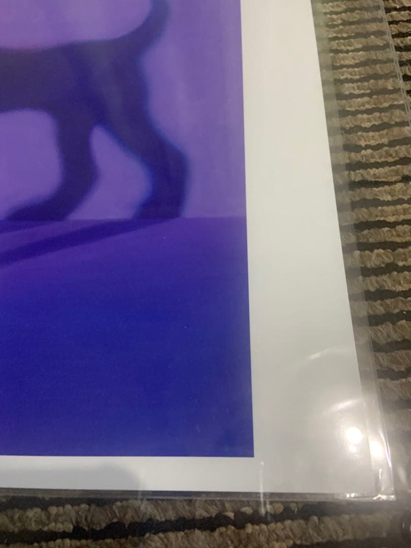 島田萌　ジークレープリント