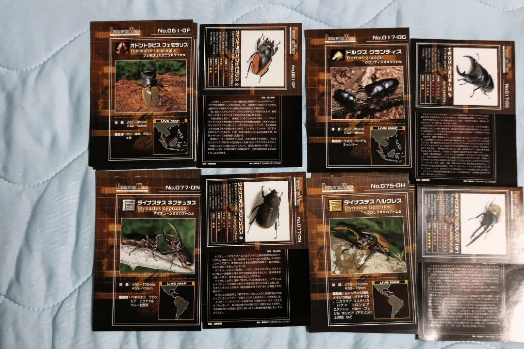 タカラ　世界の甲虫シリーズ　BEETLE OF THE WORLD