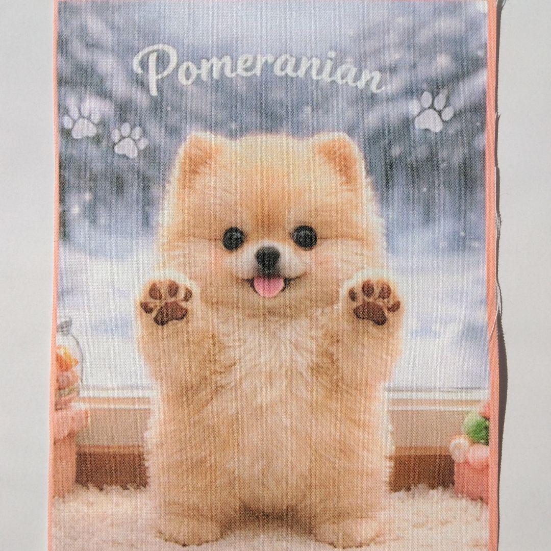 ☆受付☆ポメ.ヨーキー.ダックス.シーズー - メルカリ