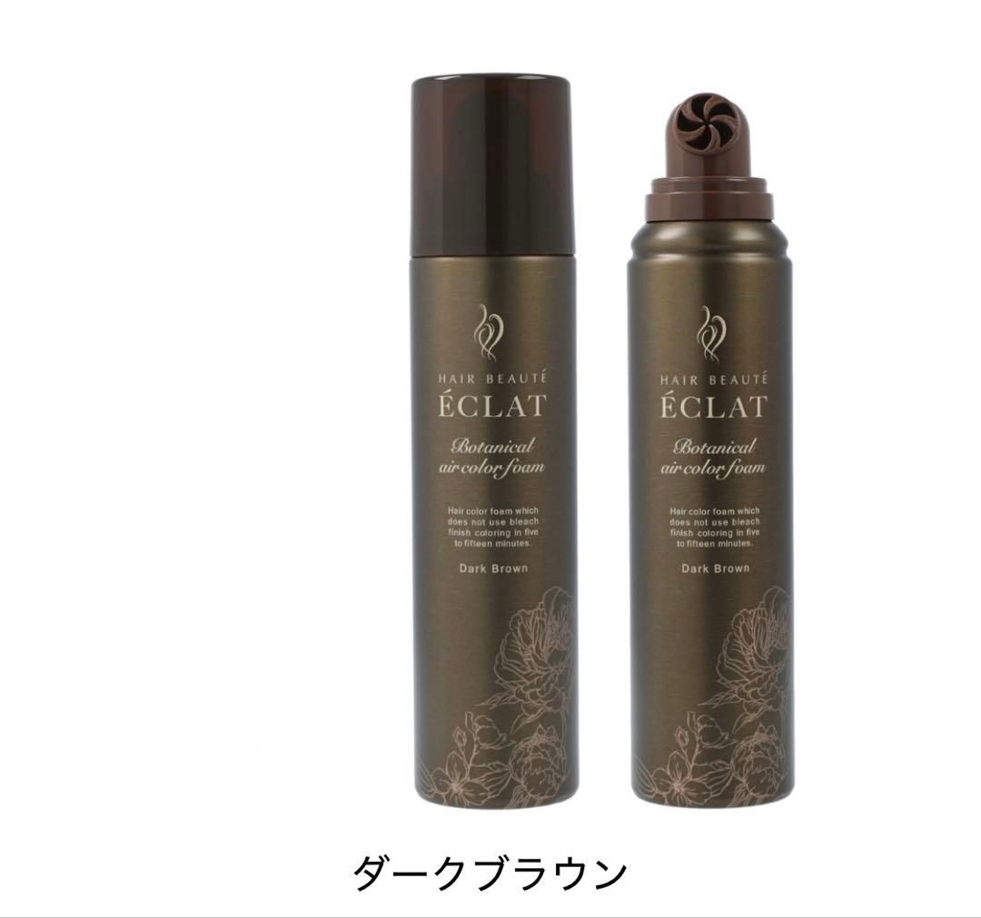 ヘアボーテエクラボタニカル　エアカラーフォームup ダークブラウン2本