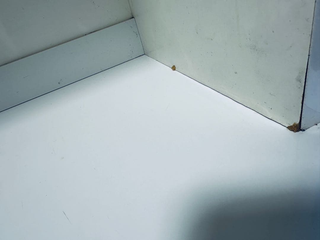 キッチン収納キャビネット ホワイト ダークブラウンキッチン ボード食器棚