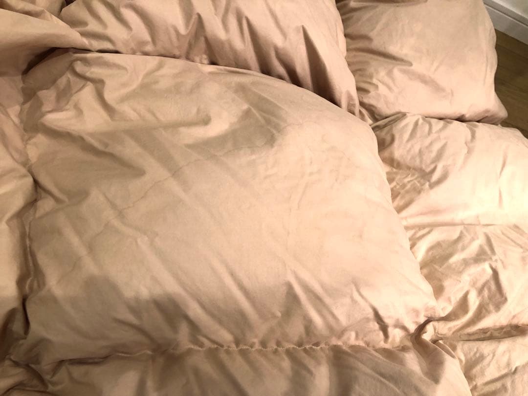 FISBA フィスバ スイス製 ダウン90% ダブル 2.0k 綿100% 一層