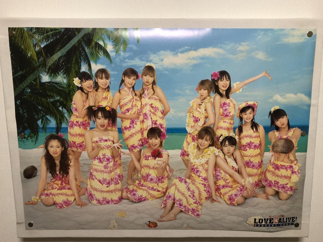 モーニング娘 2002 夏 集合 B2 ポスター - メルカリ