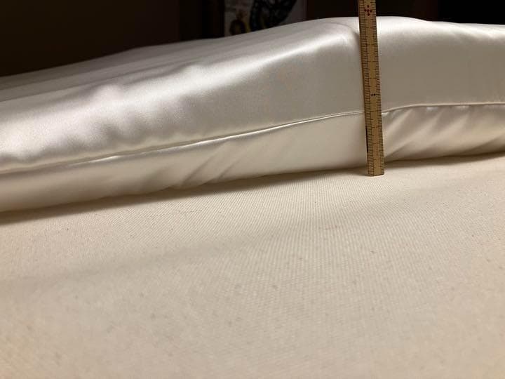 トゥルースリーパー　枕カバー　シルク　100％　19匁　ダブル サイズ　日本製