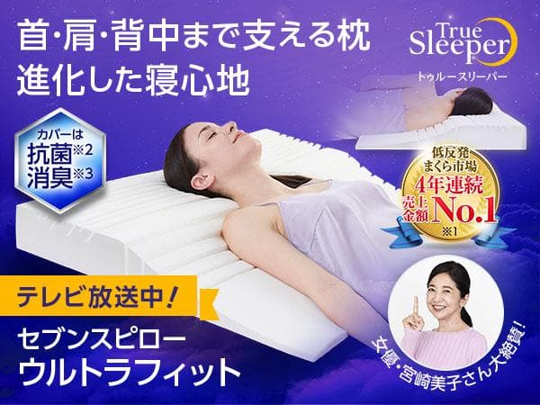 トゥルースリーパー　枕カバー　シルク　100％　19匁　ダブル サイズ　日本製