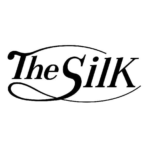 トゥルースリーパー　枕カバー　シルク　100％　19匁　ダブル サイズ　日本製